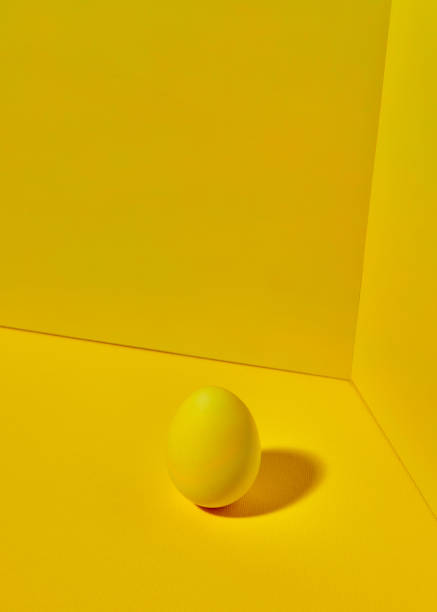 istock A colored bright yellow egg on a yellow background with copy space and shadow reflection. Easter concept 1135129234