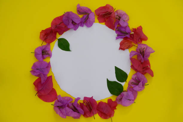 istock Flower composition. Frame made of fresh colourful flowers with white space for text on yellow background. Flat lay, top view, rounded. 1135130739