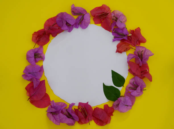 istock Flower composition. Frame made of fresh colourful flowers with white space for text on yellow background. Flat lay, top view, rounded. 1135130755