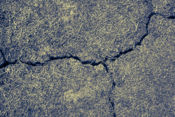 Cracked soil from drought and lack of water - Black and white photo