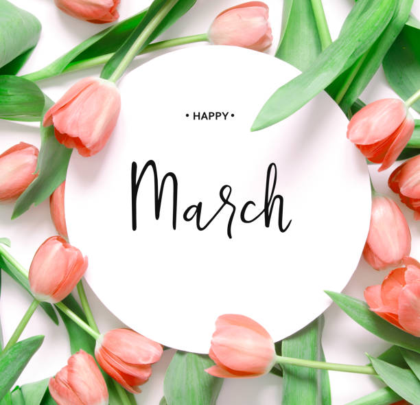 istock Inscription Happy March. Tulip flower. Spring background. 1135132299