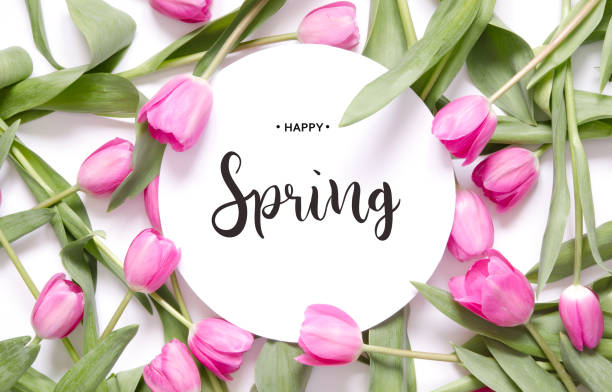 istock Inscription Happy Spring. Tulip flower. Spring background. 1135132348