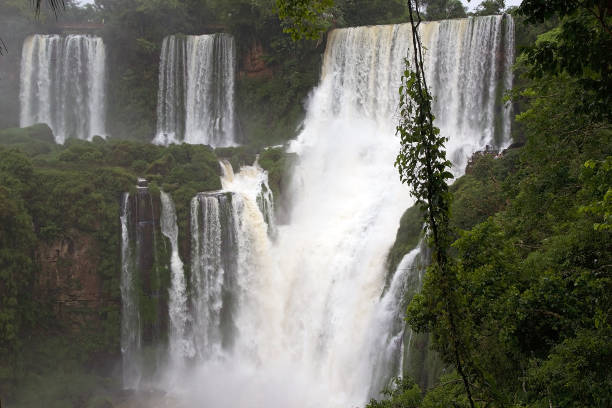 istock Iguazu Falls in the Argentine side 1135133875