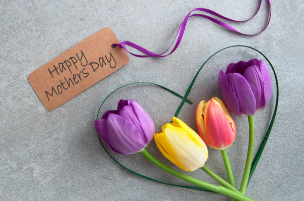 frühlingsgarten - greeting card flower mothers day tulip stock-fotos und bilder