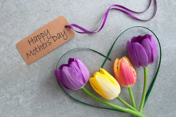 Mothers day greeting with spring tulips inside a heart shape grass stem