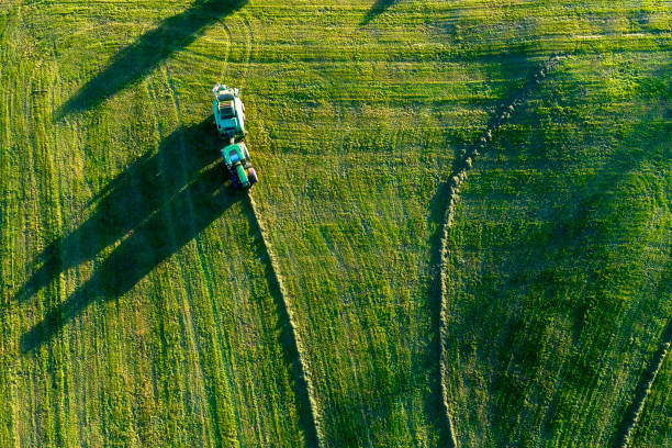 istock Tractor Working in the Field, Aerial View 1135135414