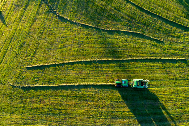 istock Tractor Working in the Field, Aerial View 1135136231