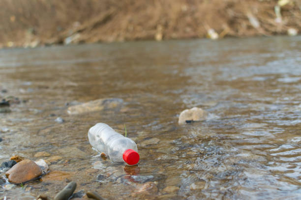 istock Irresponsible people trowing trash in river. Plastic bottle floating in the river 1135136730