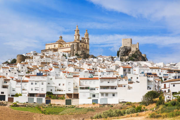 올 베라 마을, 안달루시아, 스페인의 전망 - andalusia malaga rural scene spanish culture 뉴스 사진 이미지