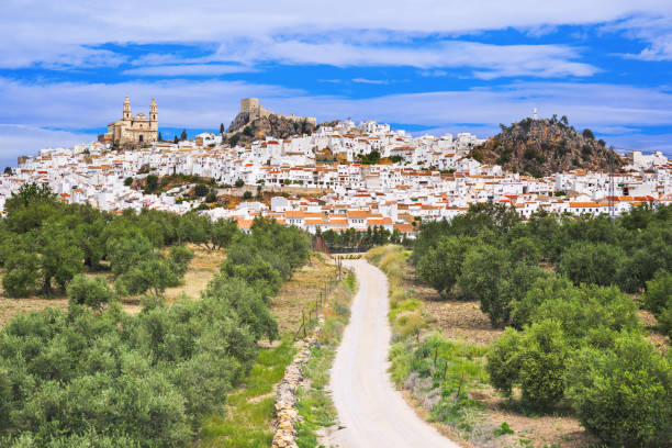 Olvera village with olive trees, Andalusia, Spain