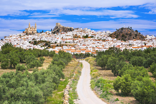 View of Olvera village, one of the beautiful white villages (Pueblos Blancos) of Andalusia, Spain