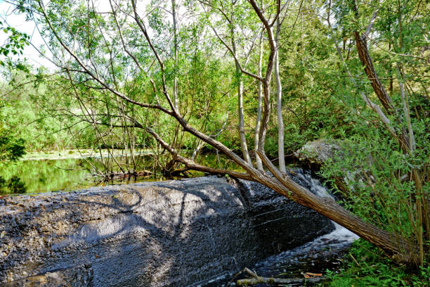 istock Waterfall on a Dam at a Pond's Edge in the Park 1135138357