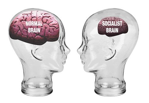 Socialist small brain and normal large brain.