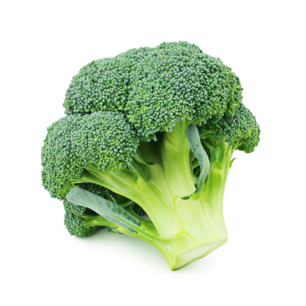 broccoli isolated on white background - head cabbage imagens e fotografias de stock