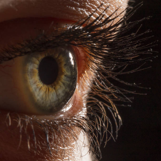 istock Female eye macro shot 1135140486
