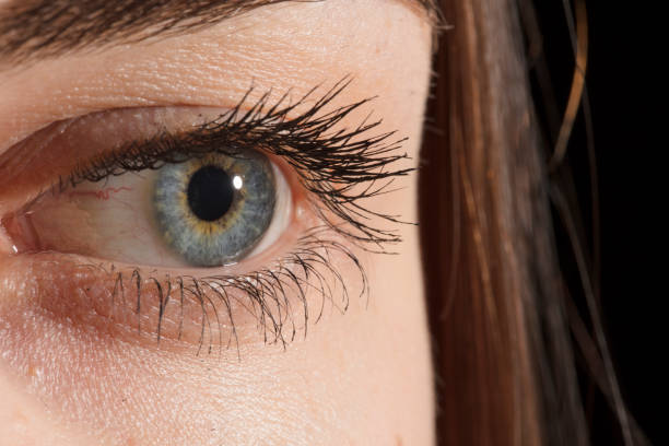 Woman's face close up