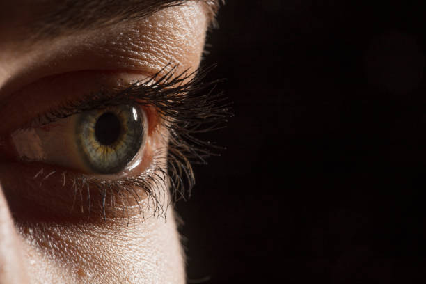 istock Female eye macro shot 1135140500