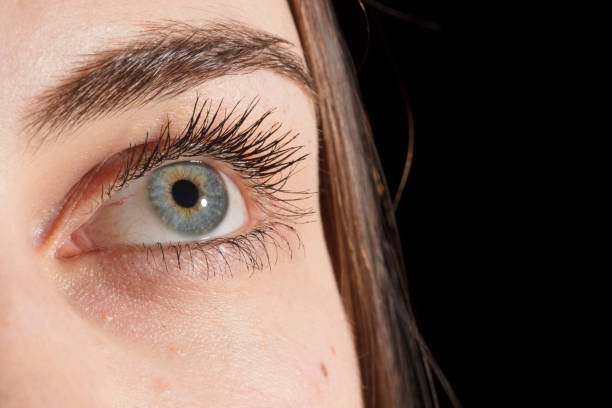 istock Female eye macro shot 1135140539