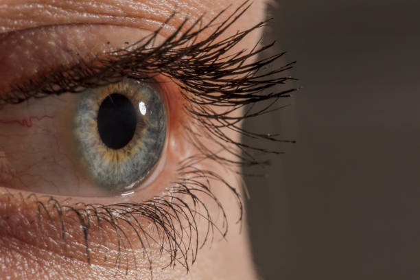 istock Female eye macro shot 1135140572