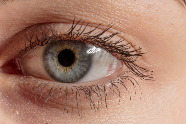 istock Female eye macro shot 1135140602