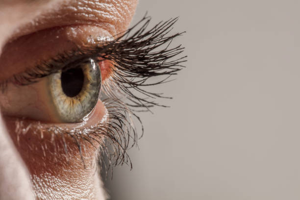 istock Female eye macro shot 1135140610