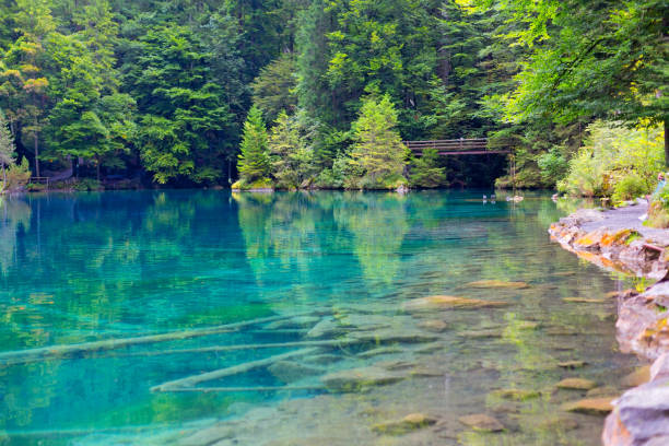 istock Blue Lake, Switzerland 1135143366