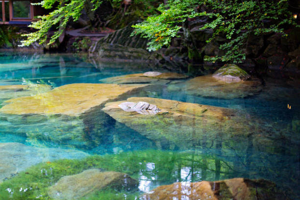 istock Blue Lake, Switzerland 1135143493