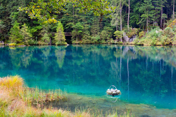 istock Blue Lake, Switzerland 1135143566