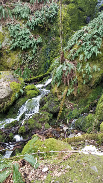 Pacific Northwest mountain hike with waterfall stock photo