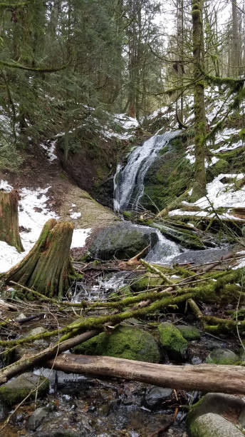 Pacific Northwest U.S. mountain hike with waterfall stock photo
