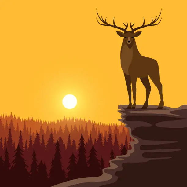 Vector illustration of Deer