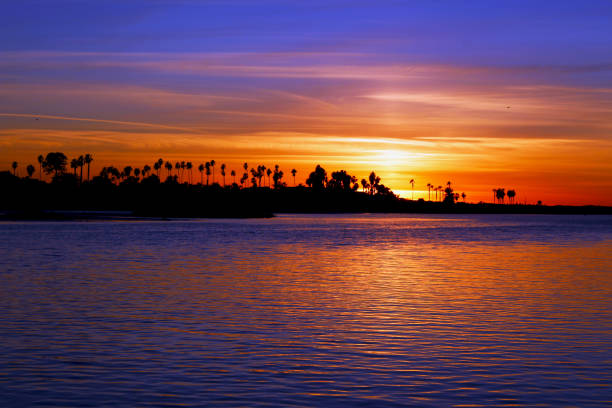 The sunset near the ocean beach and san Diego river, California. The sun is setting down, the sky is shinning golden and blue, and the silhouette of palm trees look beautiful.