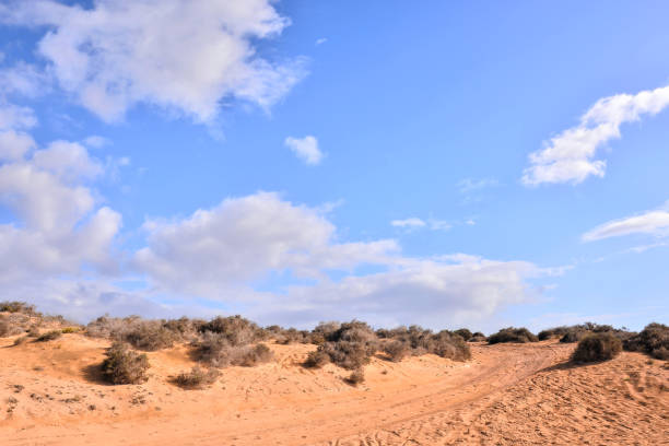 istock Landscape in Tropical Volcanic Canary Islands Spain 1135152767