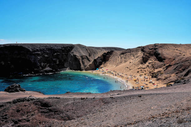 istock Landscape in Tropical Volcanic Canary Islands Spain 1135152886