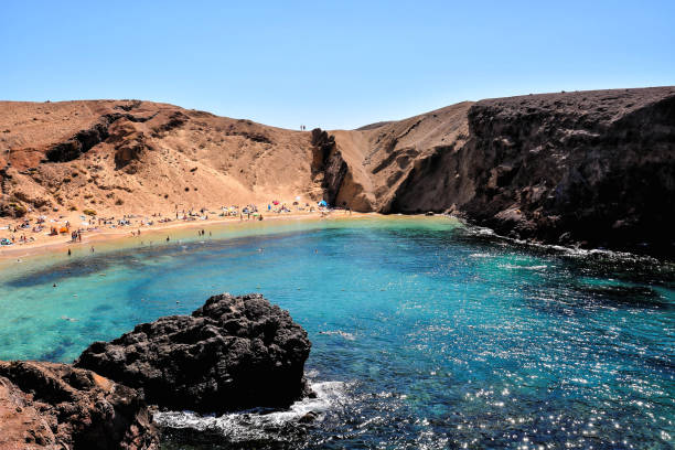 istock Landscape in Tropical Volcanic Canary Islands Spain 1135152898