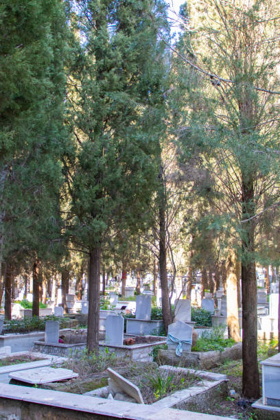 istock Muslim city cemetery 1135154080
