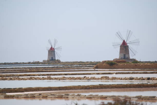 istock Windmills in the salt flats . Sicily, Italy 1135156226