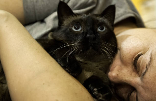istock Woman hugging cat 1135156447