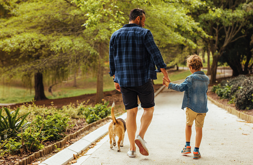 Rear view of father and son with dog walking in a park. Man holding hand on his little boy walking and talking outdoors in park.
