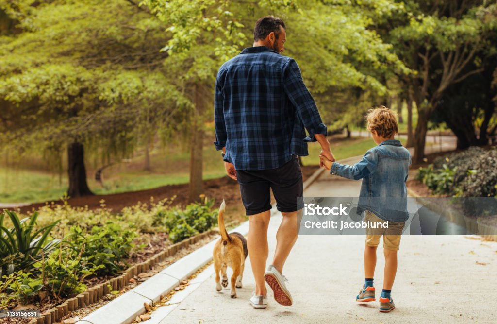 Father and son walking with a dog in the park Rear view of father and son with dog walking in a park. Man holding hand on his little boy walking and talking outdoors in park. Walking Stock Photo