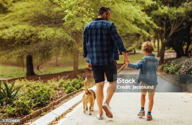 Father And Son Walking With A Dog In The Park Stock Photo - Download Image Now - Walking, Child, Father