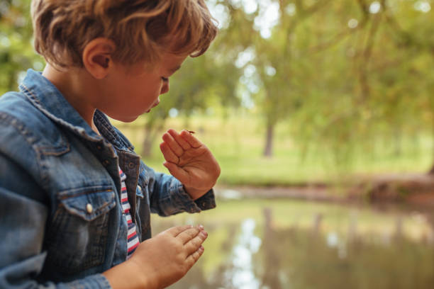 istock Little boy looking at an insect on his hand 1135157527
