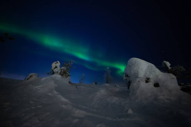 istock Northern lights with heavy snow 1135157780