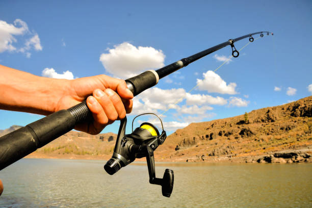 istock Fishing with rod on lake 1135157932