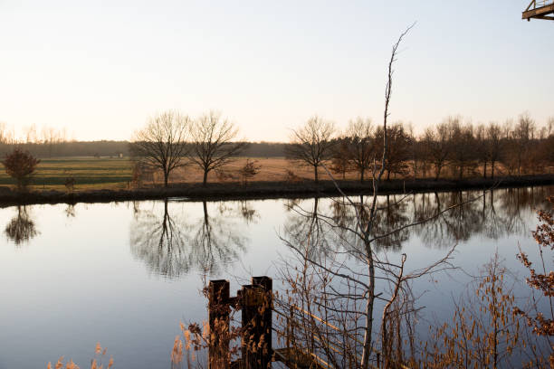 istock view on a river and several trees as a water reflection and a branch in foreground in fresenburg emsland germany 1135160031