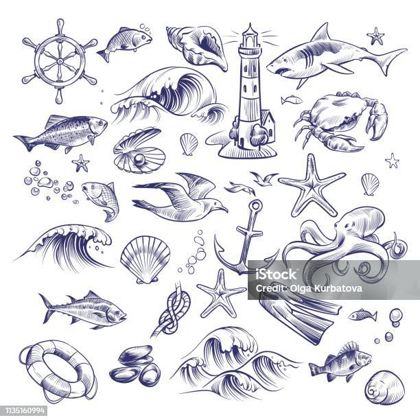 Hand Drawn Marine Set Sea Ocean Voyage Lighthouse Shark Crab Octopus Starfish Knot Crab Shell Lifebuoy Collection Stock Illustration - Download Image Now