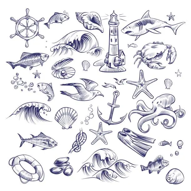 Vector illustration of Hand drawn marine set. Sea ocean voyage lighthouse shark crab octopus starfish knot crab shell lifebuoy collection