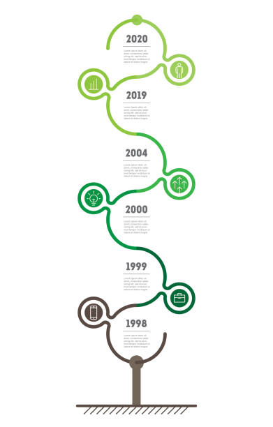 2,800+ Tree Timeline Stock Photos, Pictures & Royalty-Free Images - iStock