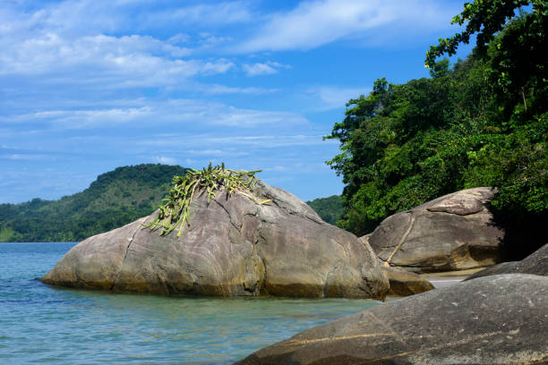 istock Naked Island, Paraty-Brazil 1135161452