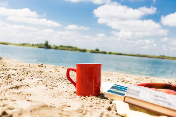 impression of read a book at a seaside resort.